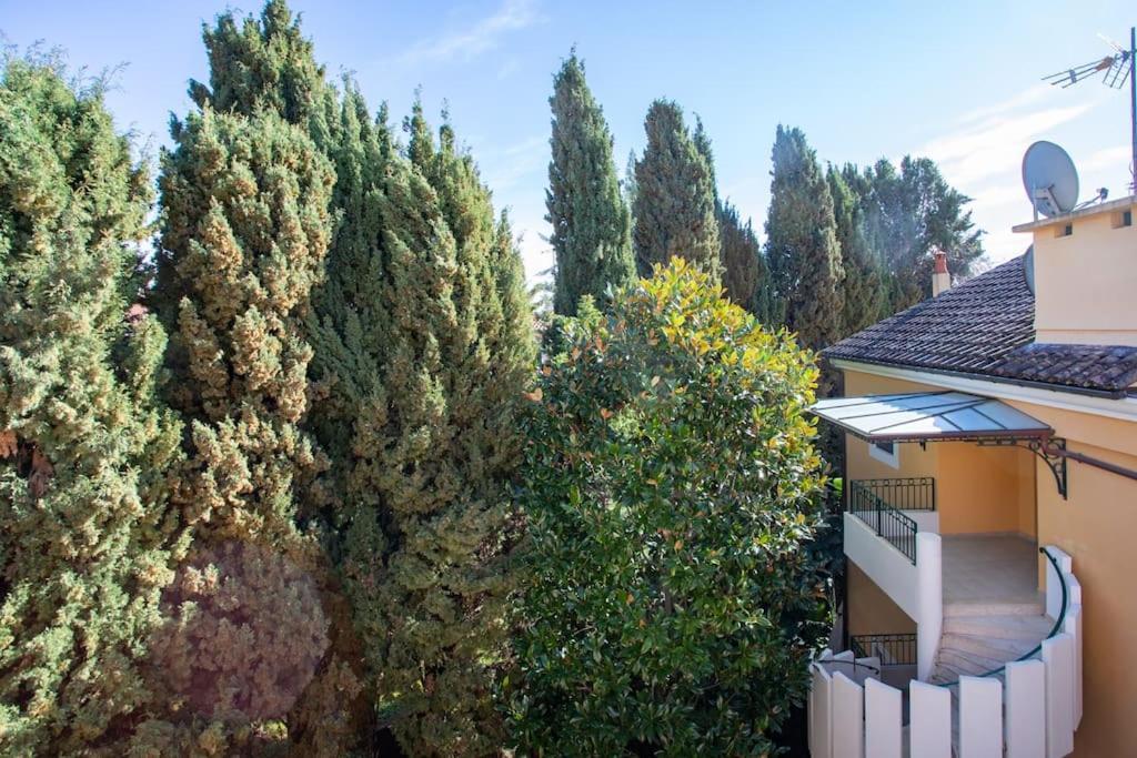 #11 Alex Terrace Parking Ac 2 Bdr 5mins To Sea Apartment *